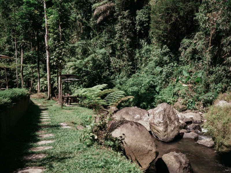 Nature Trekking